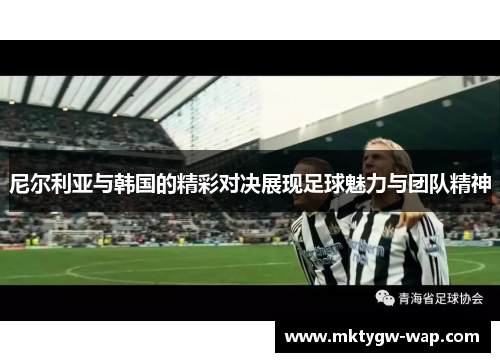尼尔利亚与韩国的精彩对决展现足球魅力与团队精神