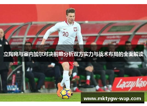 立陶宛与塞内加尔对决前瞻分析双方实力与战术布局的全面解读